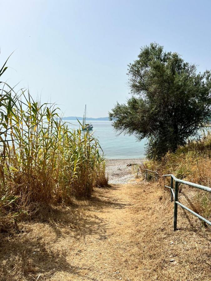 Lithino Apartments - 5Min From The Beach Agios Ioannis Peristerion Zewnętrze zdjęcie