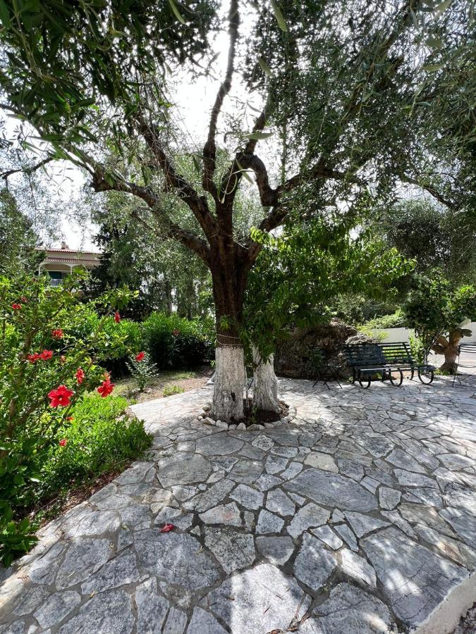 Lithino Apartments - 5Min From The Beach Agios Ioannis Peristerion Zewnętrze zdjęcie