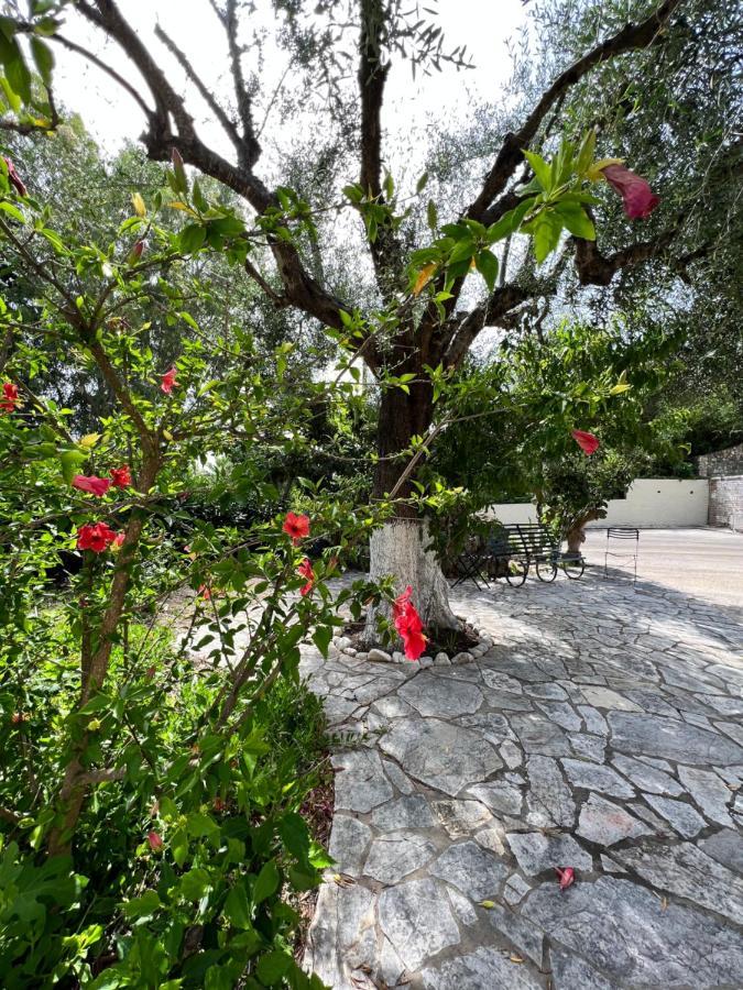 Lithino Apartments - 5Min From The Beach Agios Ioannis Peristerion Zewnętrze zdjęcie
